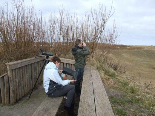 vogelbeobachtung am nationalpark