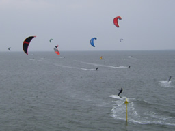 kitesurfer im Watt