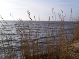 am Ufer vom Lauwersmeer