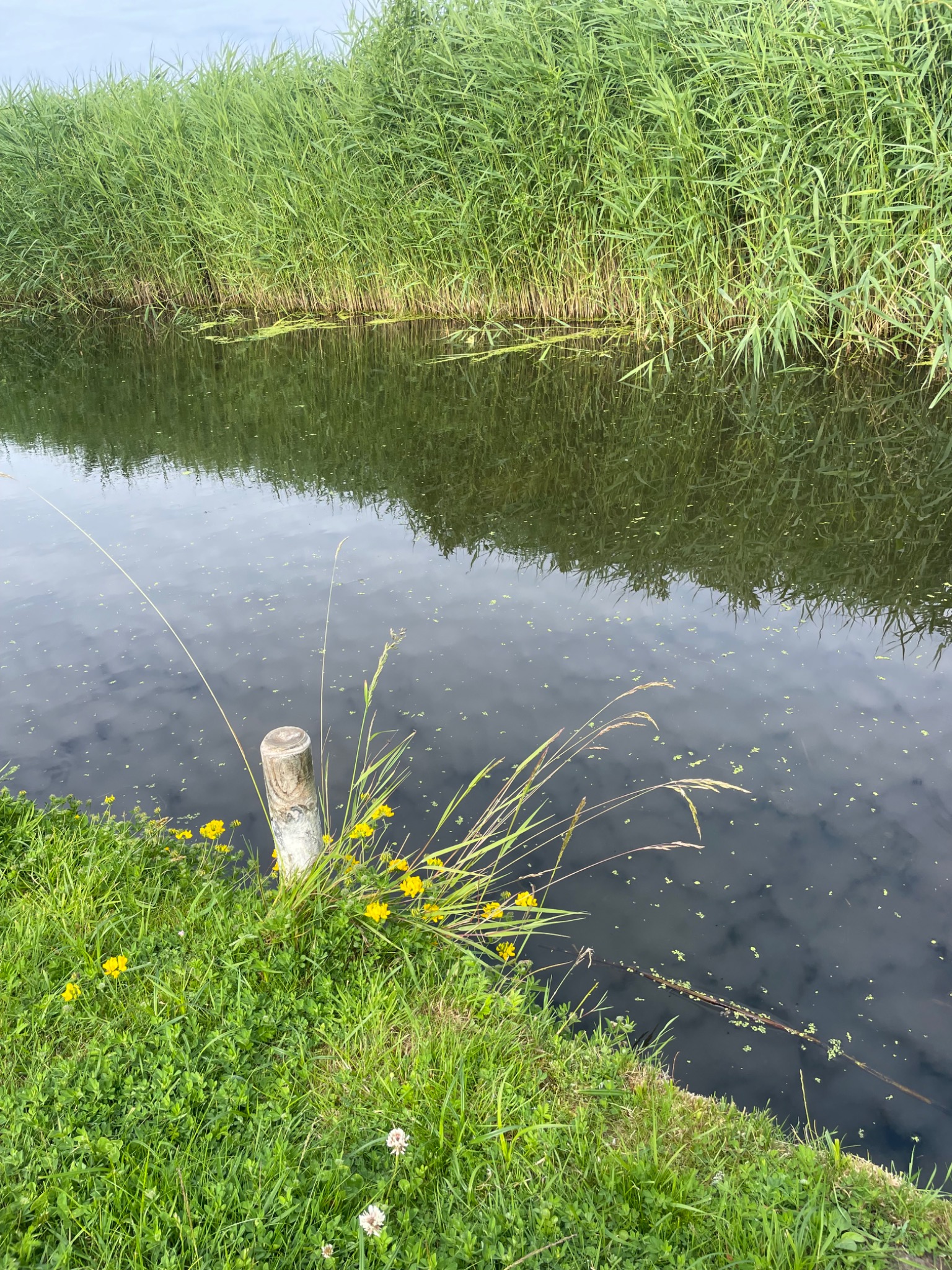 Kleine Gracht am Grundstück