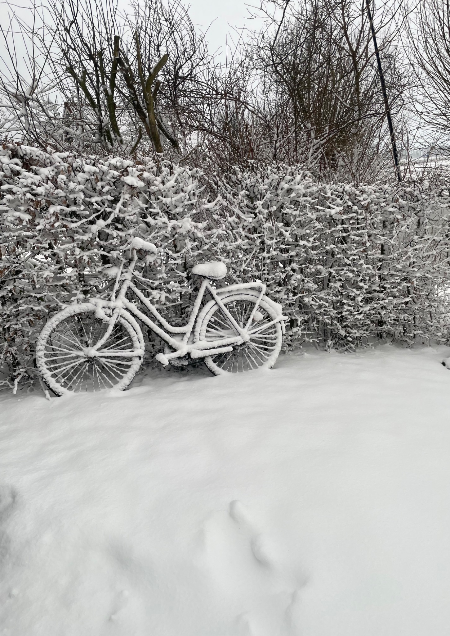 Fahrrad im Schnee in der friesischen Landschaft